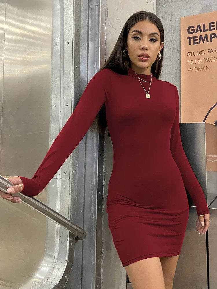 Long Sleeve Slim Bodycon Mini Dress